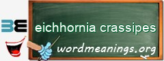 WordMeaning blackboard for eichhornia crassipes